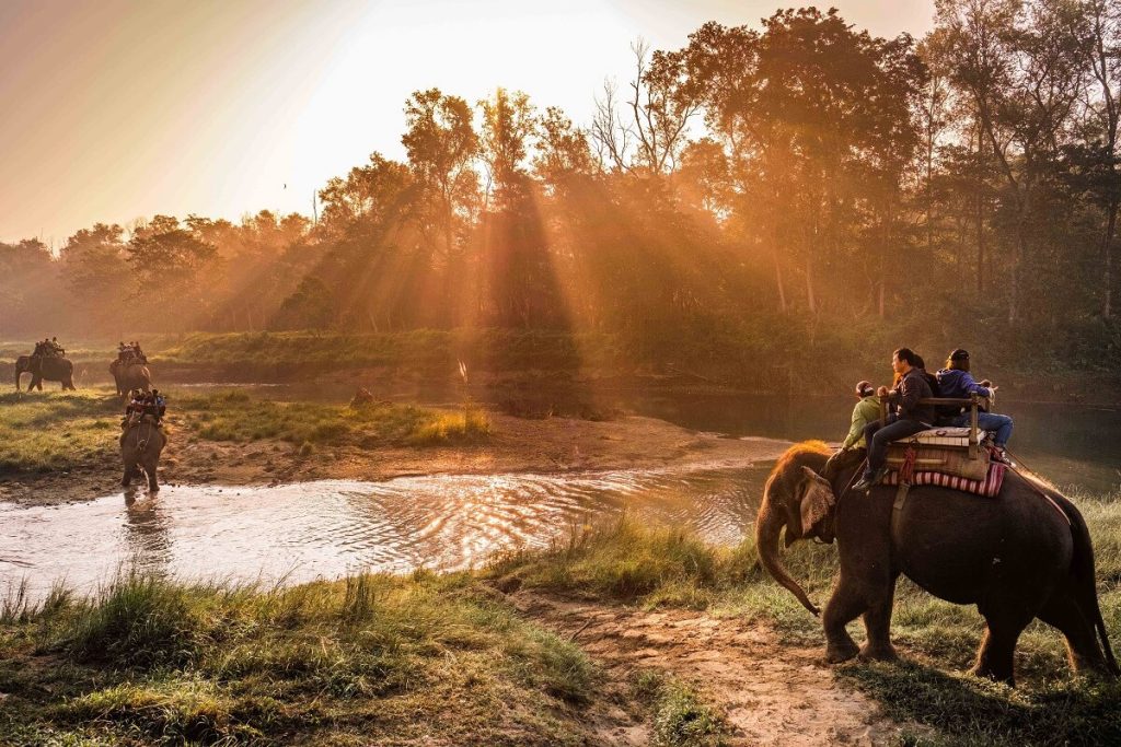 Elephant safari in Chitwan National Park showcasing wildlife adventure for Nepali travelers